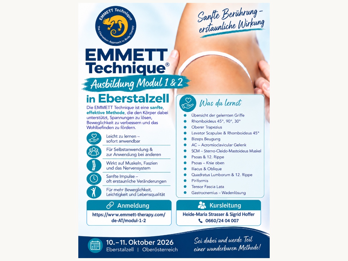 Emmett-Technik Ausbildungsstart Kursankündigung Modul 1/2